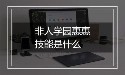 非人学园惠惠技能是什么