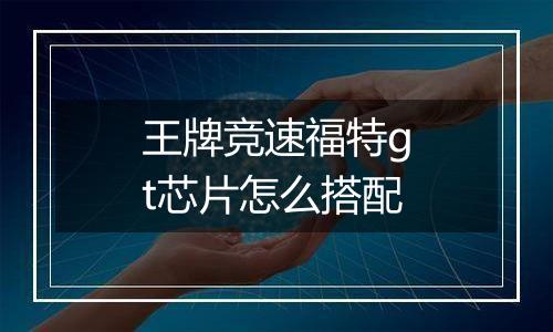 王牌竞速福特gt芯片怎么搭配