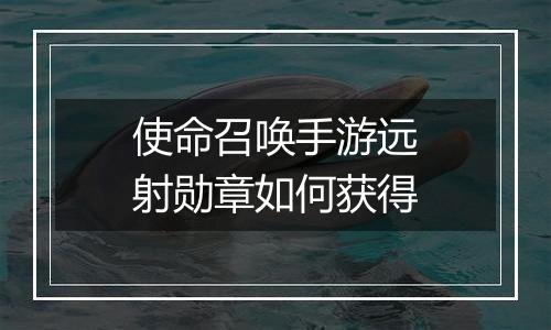 使命召唤手游远射勋章如何获得