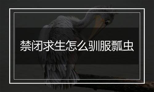 禁闭求生怎么驯服瓢虫