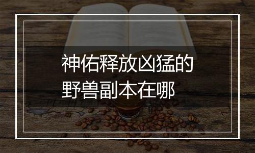 神佑释放凶猛的野兽副本在哪