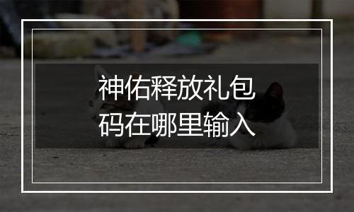 神佑释放礼包码在哪里输入