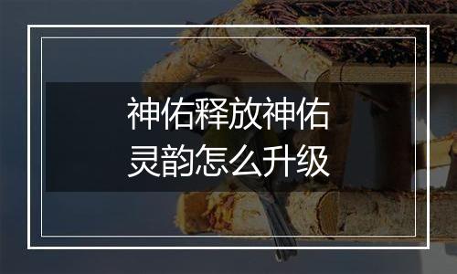 神佑释放神佑灵韵怎么升级