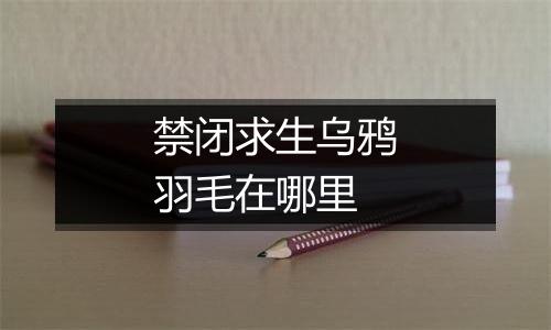 禁闭求生乌鸦羽毛在哪里
