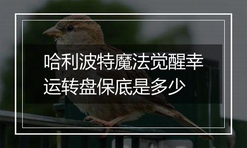 哈利波特魔法觉醒幸运转盘保底是多少