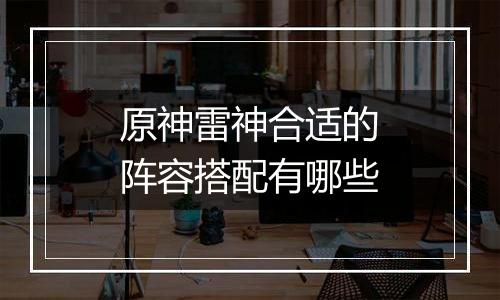 原神雷神合适的阵容搭配有哪些