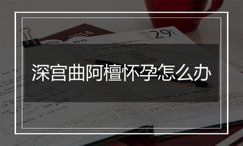 深宫曲阿檀怀孕怎么办
