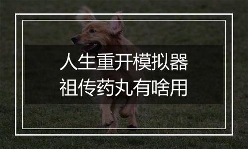 人生重开模拟器祖传药丸有啥用