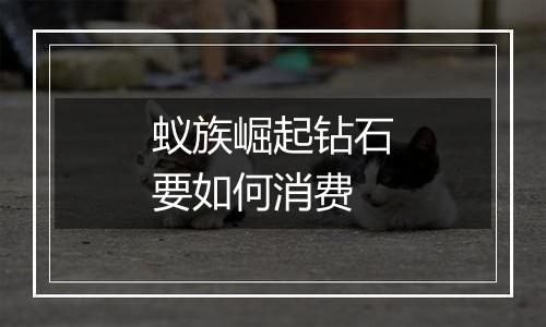 蚁族崛起钻石要如何消费