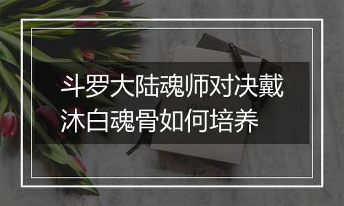 斗罗大陆魂师对决戴沐白魂骨如何培养