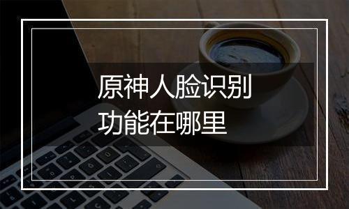 原神人脸识别功能在哪里