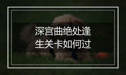 深宫曲绝处逢生关卡如何过