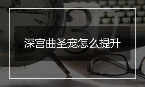深宫曲圣宠怎么提升