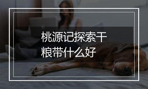 桃源记探索干粮带什么好