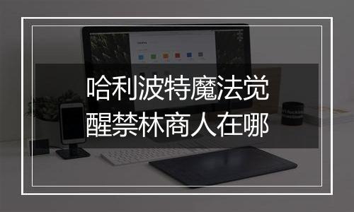 哈利波特魔法觉醒禁林商人在哪