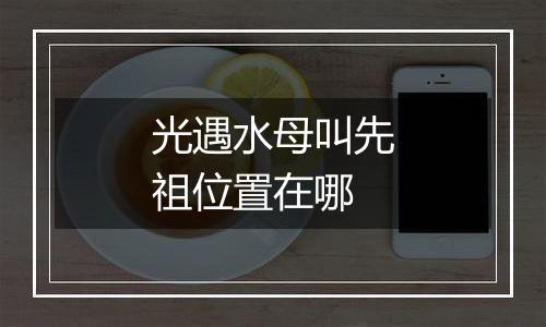 光遇水母叫先祖位置在哪