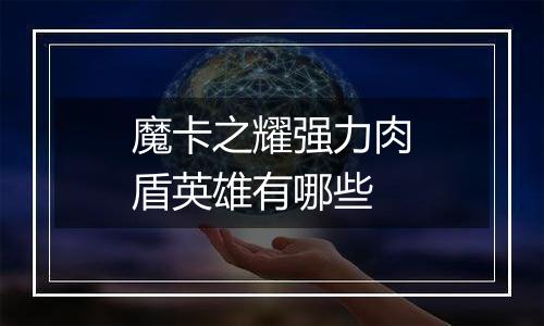 魔卡之耀强力肉盾英雄有哪些