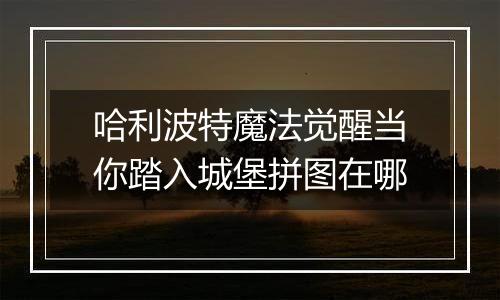 哈利波特魔法觉醒当你踏入城堡拼图在哪