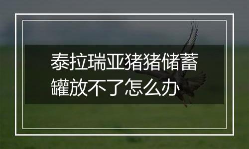 泰拉瑞亚猪猪储蓄罐放不了怎么办