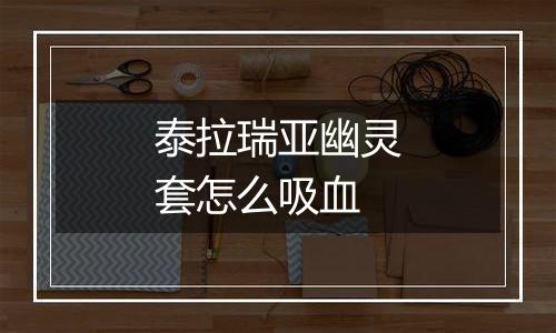 泰拉瑞亚幽灵套怎么吸血