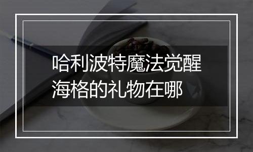 哈利波特魔法觉醒海格的礼物在哪