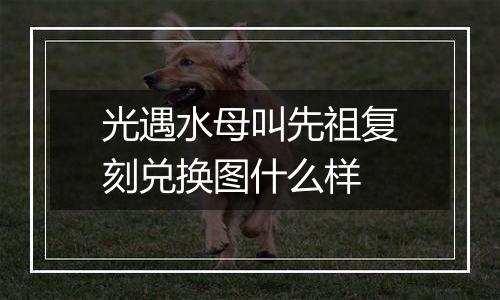 光遇水母叫先祖复刻兑换图什么样