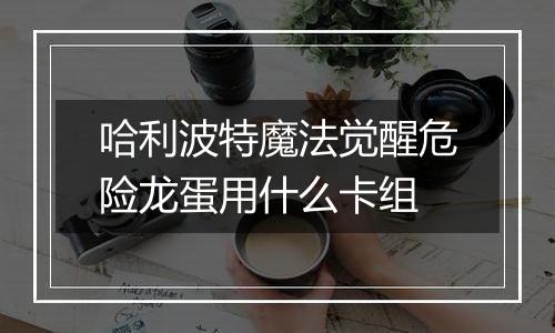 哈利波特魔法觉醒危险龙蛋用什么卡组