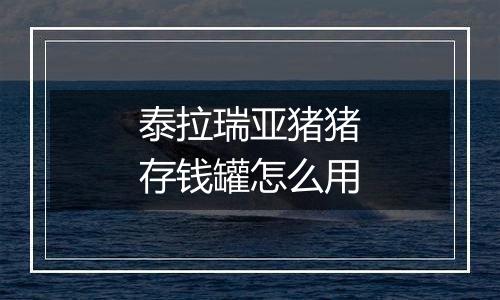 泰拉瑞亚猪猪存钱罐怎么用