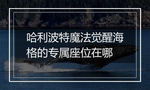 哈利波特魔法觉醒海格的专属座位在哪