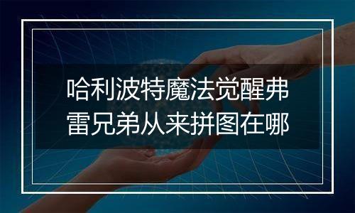 哈利波特魔法觉醒弗雷兄弟从来拼图在哪