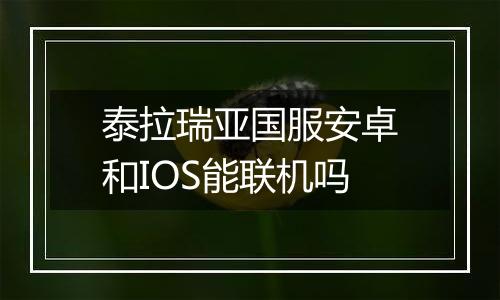 泰拉瑞亚国服安卓和IOS能联机吗