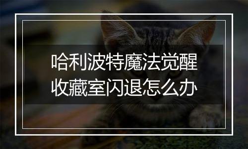 哈利波特魔法觉醒收藏室闪退怎么办