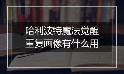 哈利波特魔法觉醒重复画像有什么用