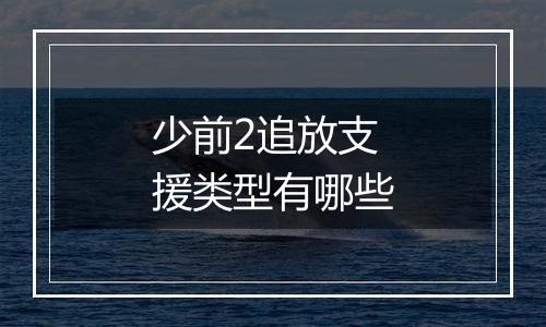 少前2追放支援类型有哪些