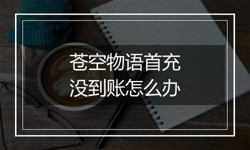 苍空物语首充没到账怎么办