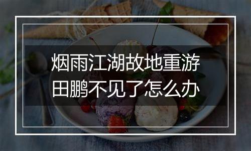 烟雨江湖故地重游田鹏不见了怎么办