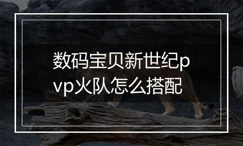 数码宝贝新世纪pvp火队怎么搭配