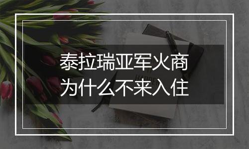 泰拉瑞亚军火商为什么不来入住