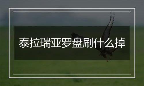 泰拉瑞亚罗盘刷什么掉