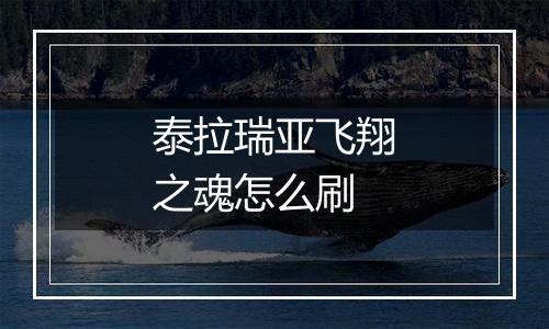 泰拉瑞亚飞翔之魂怎么刷