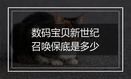 数码宝贝新世纪召唤保底是多少