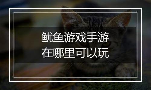 鱿鱼游戏手游在哪里可以玩