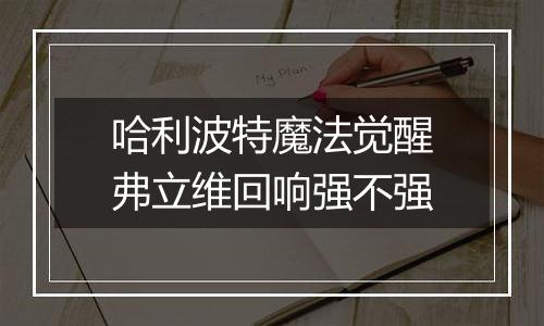哈利波特魔法觉醒弗立维回响强不强