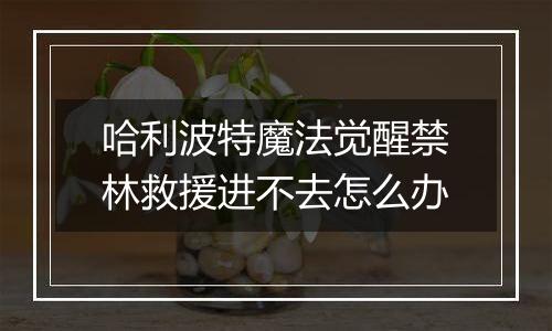 哈利波特魔法觉醒禁林救援进不去怎么办