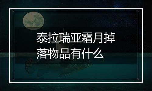 泰拉瑞亚霜月掉落物品有什么