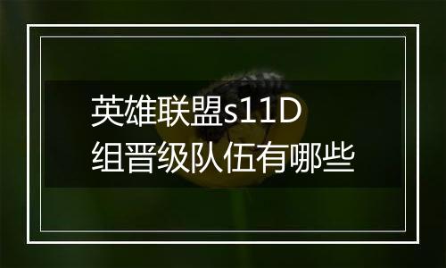 英雄联盟s11D组晋级队伍有哪些