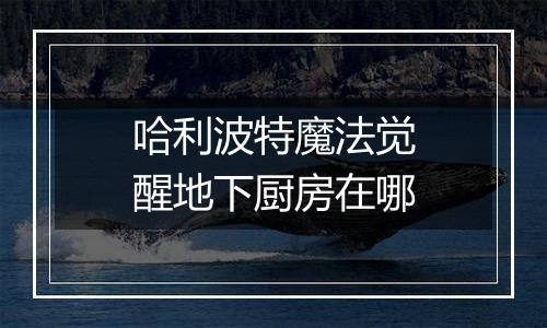 哈利波特魔法觉醒地下厨房在哪