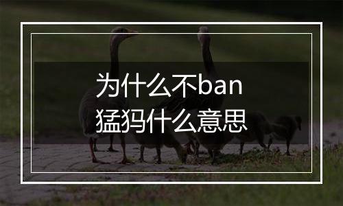 为什么不ban猛犸什么意思