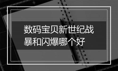 数码宝贝新世纪战暴和闪爆哪个好