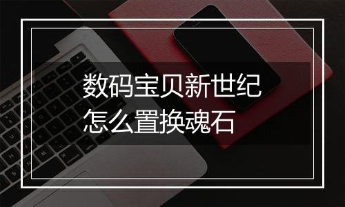 数码宝贝新世纪怎么置换魂石